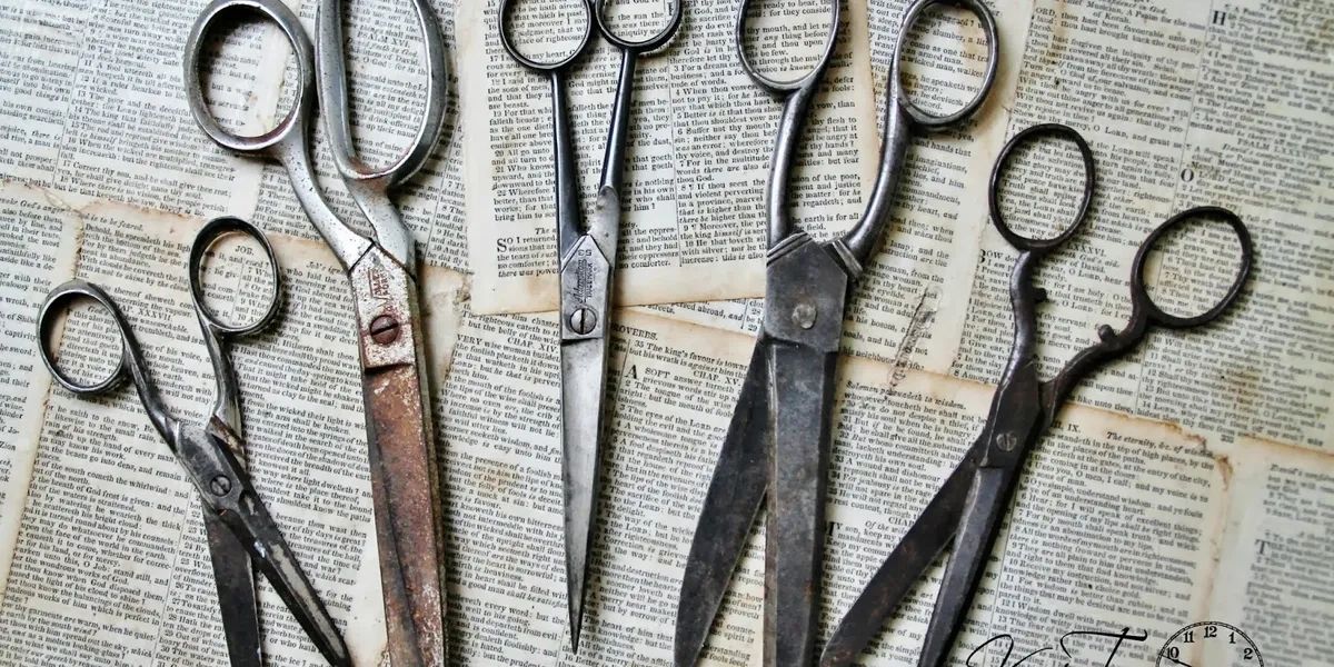 Collection of professional and household scissors